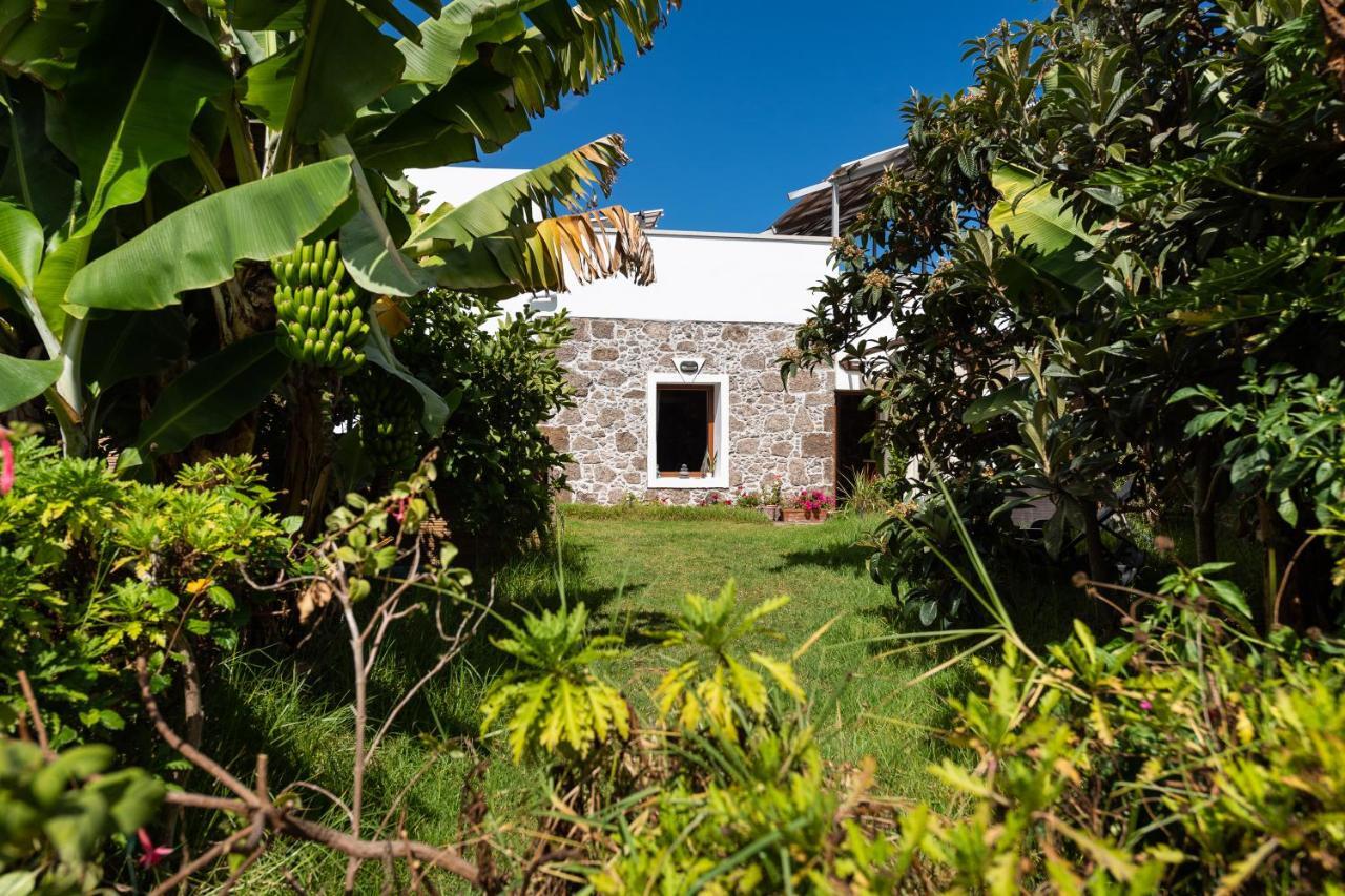 Villa Canaria Piscina Jacuzzi Jardin Santa Maria de Guia de Gran Canaria Exterior photo